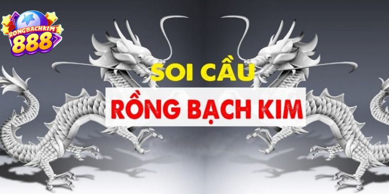 Rồng Bạch Kim 888 - Trang Chốt Số Cực Chuẩn Dành Cho Lô Thủ